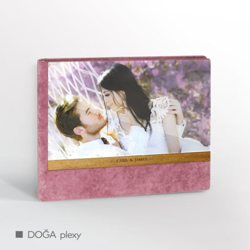 DOĞA plexy