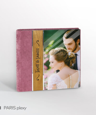 Alternative view of PARIS plexy