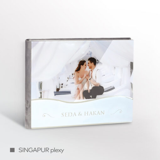 SINGAPUR plexy