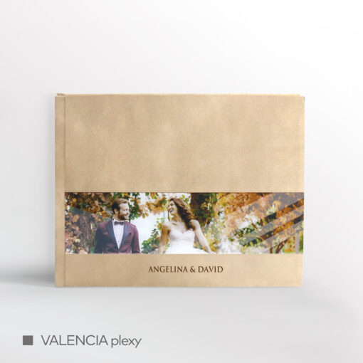VALENCIA plexy